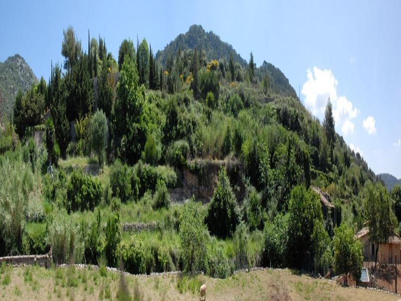 Sa Vall