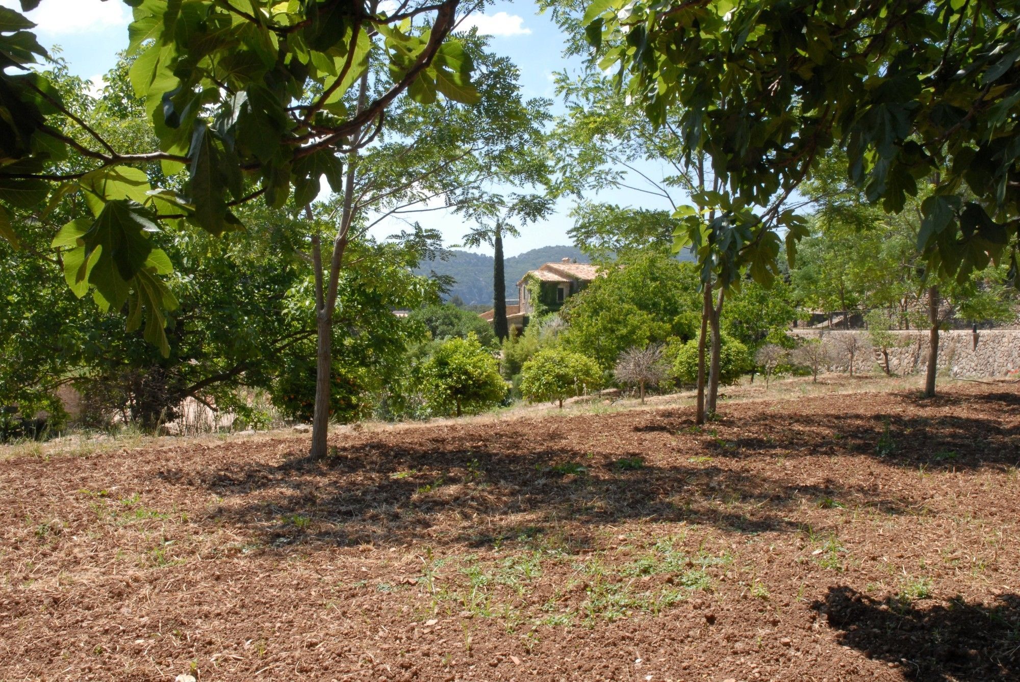 Sa Vall 3* Valldemossa (Mallorca)
